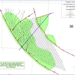 Chico-Martinez Oil Field Assessment Summary