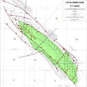 North Belridge Oil Field-Full Assessment
