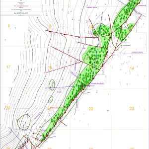Tejon Hills Oil Field-Full Assessment