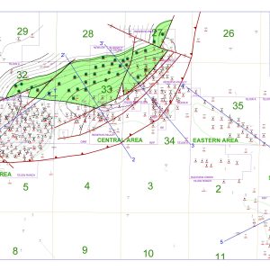 Tejon Oil Field-Full Assessment